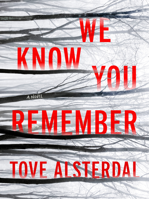 Title details for We Know You Remember by Tove Alsterdal - Wait list